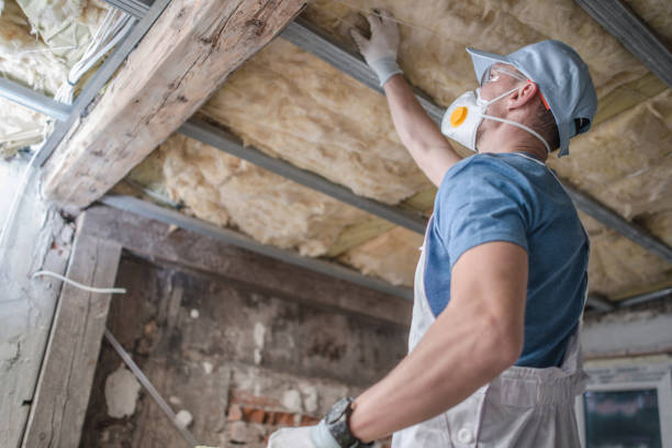 Best Insulation Maintenance and Repair in Siesta Acres, TX