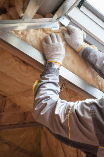 Best Commercial Insulation in Siesta Acres, TX